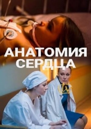 Анатомия сердца (сериал, 1-2 сезоны, все серии)